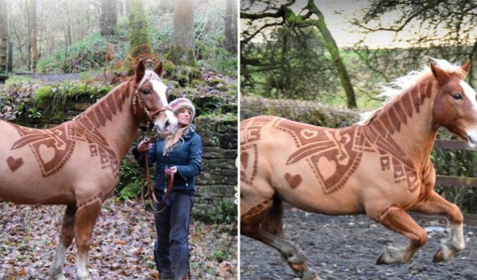 Великолепнее совершенных: лошади в орнаментах (12 фото)