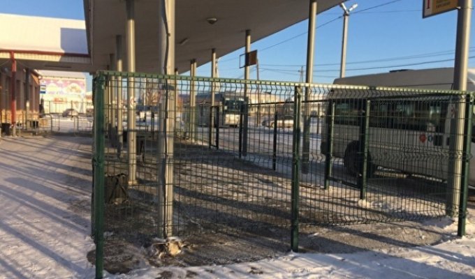 В Тюменской области на автовокзалах установили "клетки" для пассажиров (3 фото)