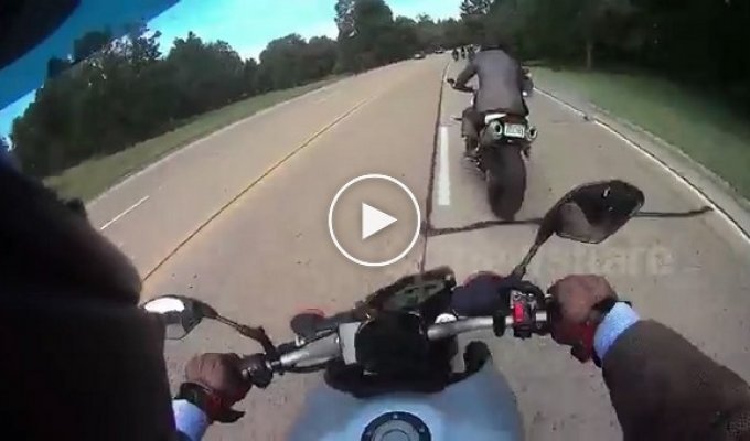 Дикий олень перепрыгнул группу мотоциклистов