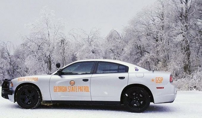 Полицейские патрульные автомобили США зимой (20 фото)