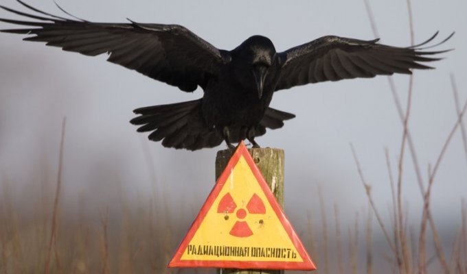9 самых радиоактивных мест в России (10 фото)