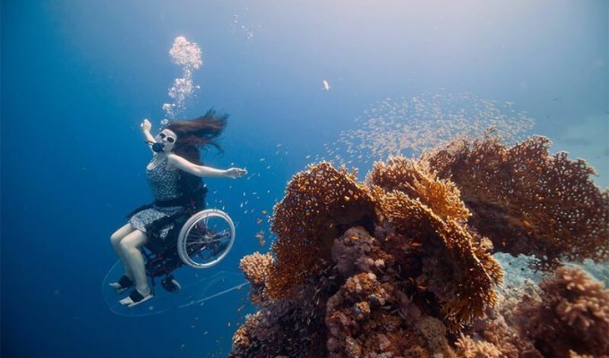 Специально адаптированное подводное кресло-коляска дало возможность заняться дайвингом (4 фото + 1 видео)