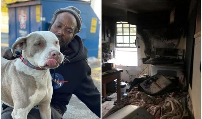 Бездомный мужчина забежал в горящий приют и спас всех животных (22 фото)
