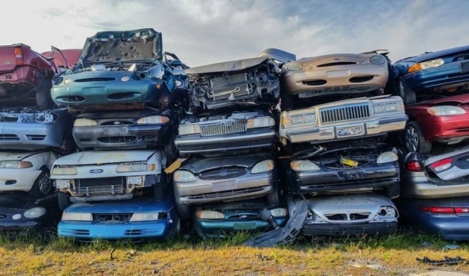 Самая большая авторазборка в мире, или как умирают автомобили в Америке (59 фото + 3 видео)