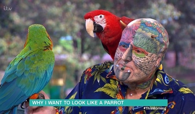 "Человек-попугай" тратит пенсию на татуировки и пирсинг, чтобы быть похожим на любимую птицу (5 фото)