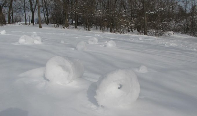 Снежные рулоны (17 фото)