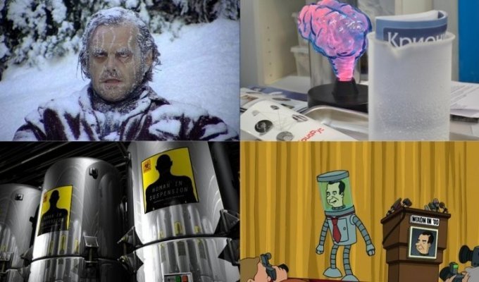 Замороженные на всю голову: как учёные морозят людей на будущее и сколько это стоит (10 фото)