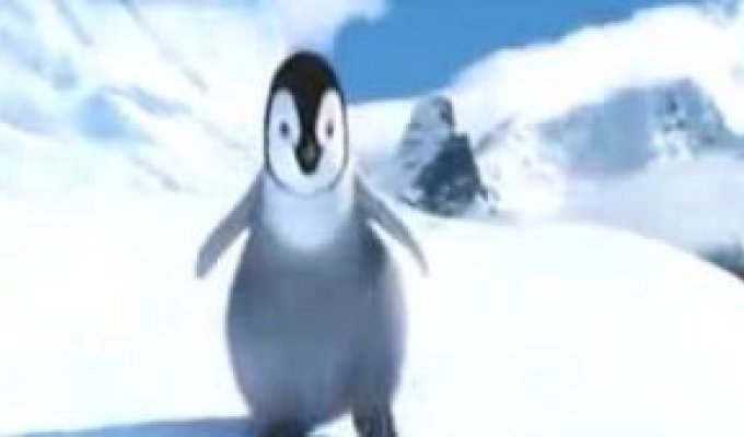 Макарена в исполнение пингвинчика