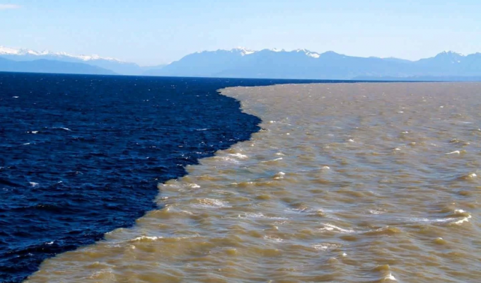 Удивительное место, где два океана соприкасаются, но не смешиваются между собой (7 фото)