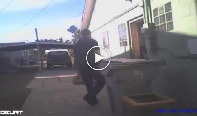 Полицейский отстреливается от питбулей