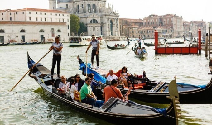 "Просто бомбы": толстые туристы уже утомили венецианцев (5 фото)