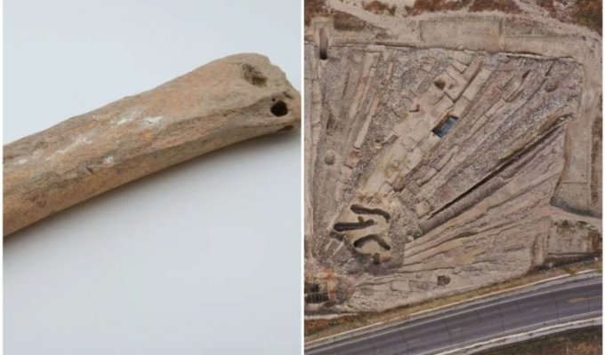 В Китае нашли древние коньки из костей животных (6 фото)