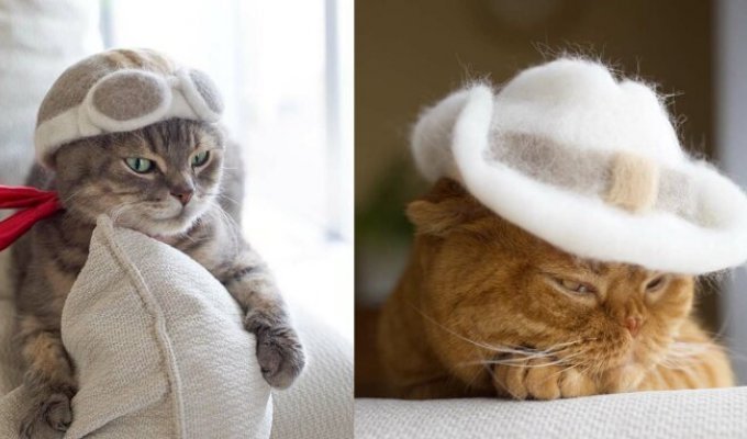 Японский фотограф нашел самое правильное применение кошачьей шерсти! (33 фото)