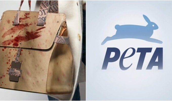 РЕТА запустила "интернет-магазин" с вещами из человеческой кожи (4 фото)