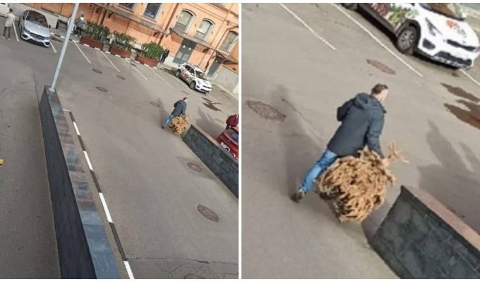 "Это рекорд!": москвич в сентябре выбросил ёлку и рассказал, сколько ей лет (3 фото)