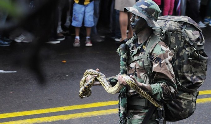 Солдаты армии Парагвая маршируют на параде со своими животными (7 фото)