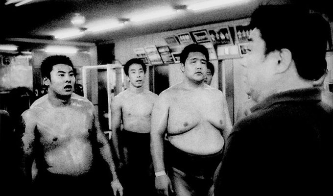 Чемпионы сумо (11 фото)