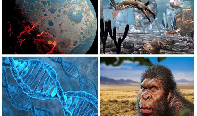 Невероятная эволюция человечества длиною в 3,5 миллиарда лет! (40 фото + 1 видео)