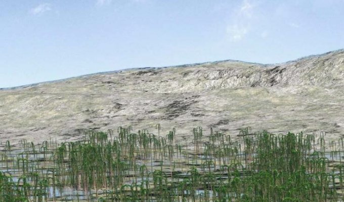 В Китае найдены окаменелости леса возрастом 400 миллионов лет (3 фото)