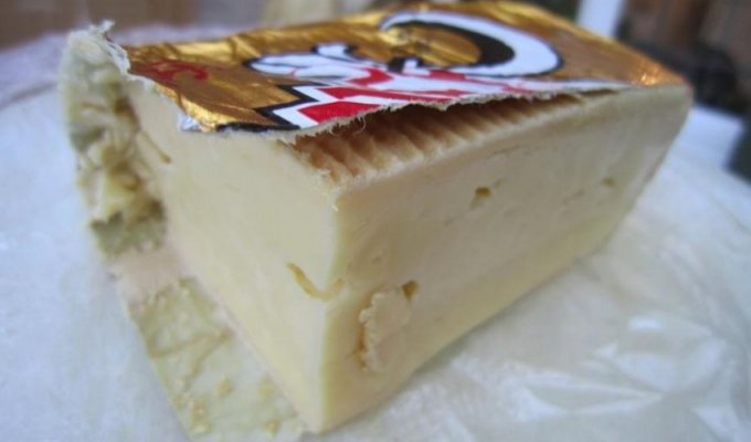 Самые необычные сорта сыра (8 фото)