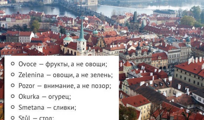 Обманчивые значения знакомых нам слов на чешском языке (2 фото)