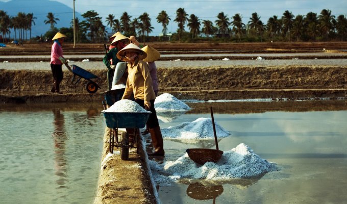Как добывают соль во Вьетнаме (11 фото)