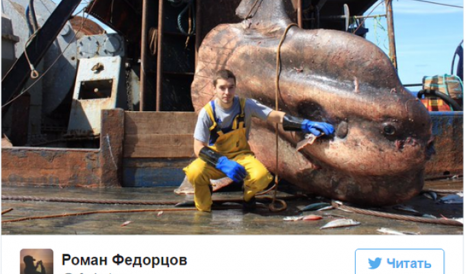 Мурманский моряк выкладывает фото самых странных рыб, пойманных его траулером (16 фото)