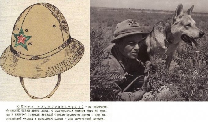 Субтропический шлем - панама Советской армии (24 фото)