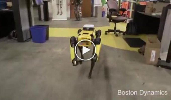 Четырёхногий робот SpotMini бежит по офисным помещениям и лабораториям компании Boston Dynamics