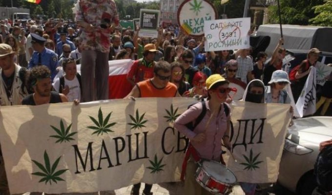 Во Львове проведут Марш свободы за легализацию марихуаны