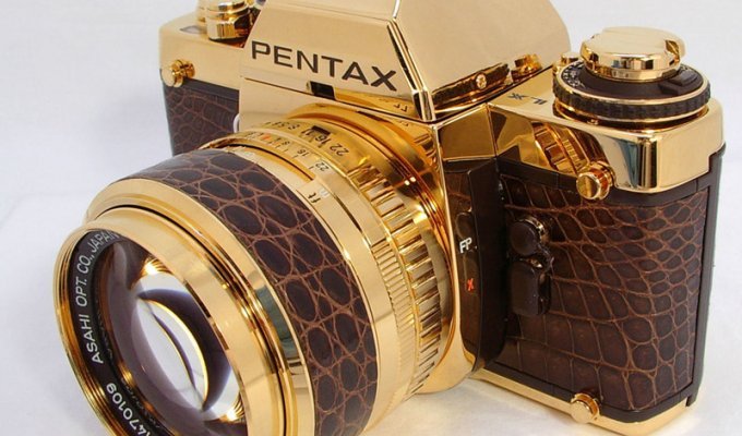 Золотые фотоаппараты от известных компаний (23 фото)
