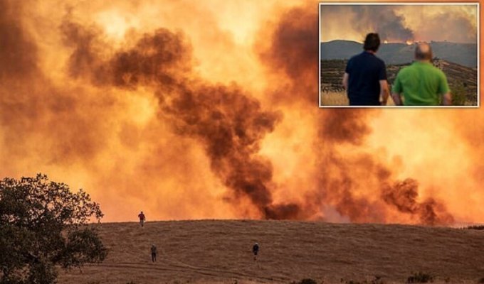 В Андалусии люди бегут от лесных пожаров (6 фото + 1 видео)