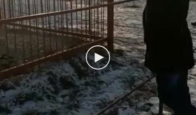 Издевательства над животными в контактном зоопарке Приморского края