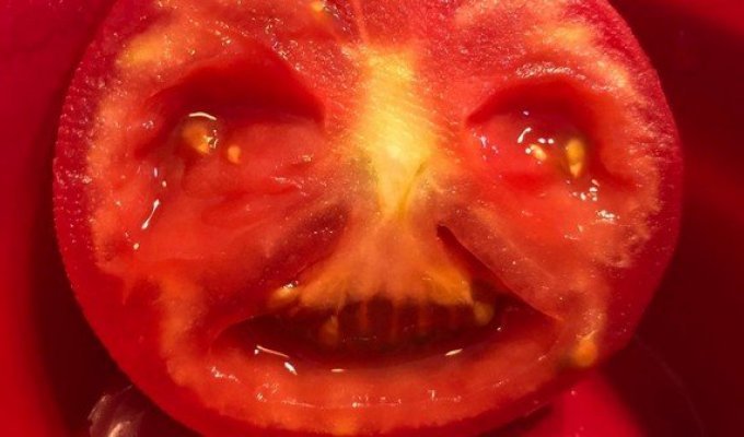 Синьор Помидор – или как приложение на телефоне приняло помидор за лицо (10 фото)