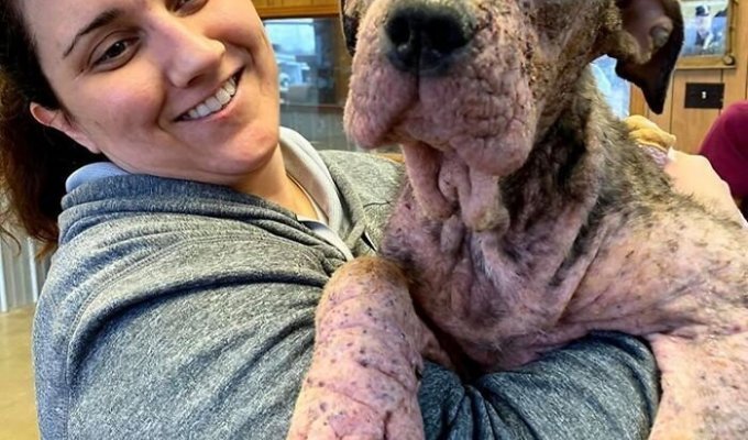 Женщина выходила больную собаку и спустя несколько месяцев та преобразилась (21 фото)