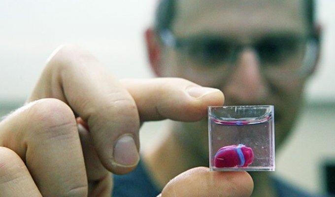 Израильские ученые первыми в мире с помощью 3D-принтера создали "живое" сердце (3 фото)