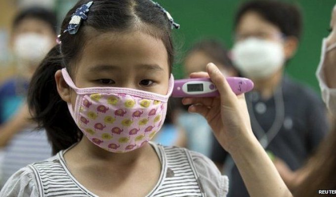 В Южной Корее свирепствует смертельный вирус MERS (9 фото)
