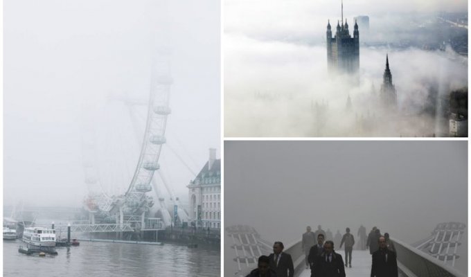 Самый известный туман-убийца в мире (15 фото)