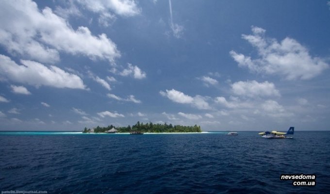 Дайвинг на Мальдивах (31 фотография)