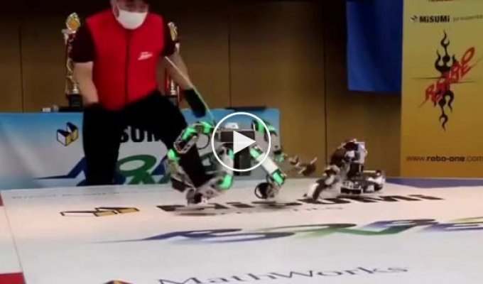Турниры боевых роботов Robo-One вот уже несколько десятилетий захватывают умы японцев