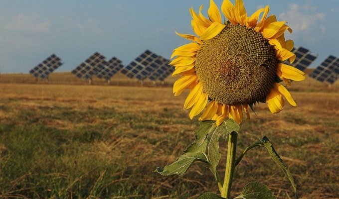 Энергия Солнца: где находятся и как работают самые экологичные электростанции планеты (28 фото)