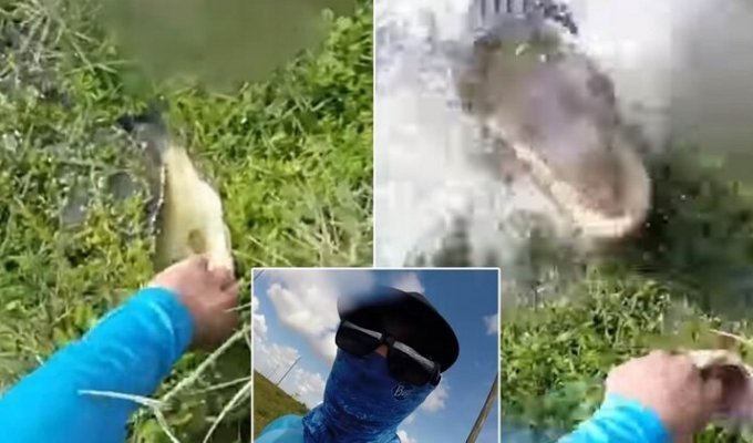 Флоридский рыбак чуть не стал добычей аллигатора (5 фото + 1 видео)