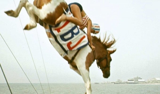 Прыжки в воду на лошадях (17 фото + 2 видео)
