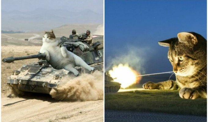 Нет войне, да - котикам: фотошопер соединяет гигантских котов и военную технику (29 фото)