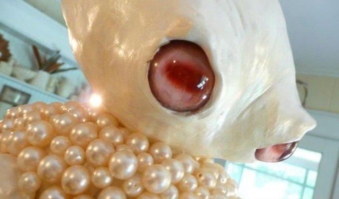 Люстра-осьминог (3 фото)
