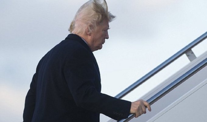 Носит ли Дональд Трамп парик? (4 фото + 1 видео)