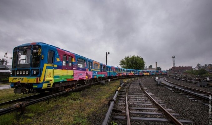 Художник из Испании разрисовал поезд киевского метрополитена (14 фото)