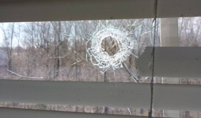 Шальная пуля угодила в дом (3 фото)