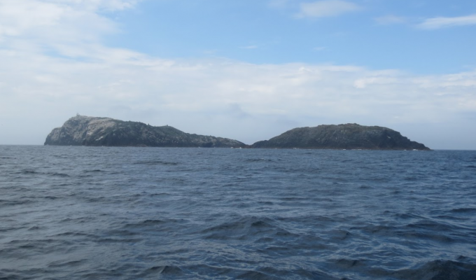 Маленький шотландский остров, который корабельные крысы сделали необитаемым (5 фото)