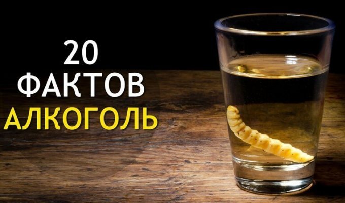 Топ-20 фактов о "горячительных" напитках (1 фото)